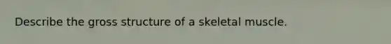 Describe the gross structure of a skeletal muscle.