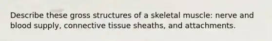 Describe these gross structures of a skeletal muscle: nerve and blood supply, <a href='https://www.questionai.com/knowledge/kYDr0DHyc8-connective-tissue' class='anchor-knowledge'>connective tissue</a> sheaths, and attachments.