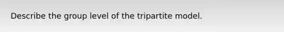 Describe the group level of the tripartite model.