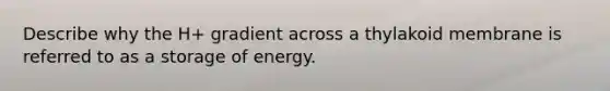 Describe why the H+ gradient across a thylakoid membrane is referred to as a storage of energy.