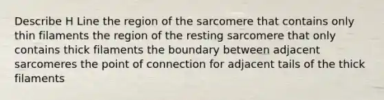 Describe H Line the region of the sarcomere that contains only thin filaments the region of the resting sarcomere that only contains thick filaments the boundary between adjacent sarcomeres the point of connection for adjacent tails of the thick filaments