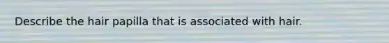 Describe the hair papilla that is associated with hair.