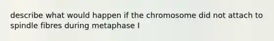 describe what would happen if the chromosome did not attach to spindle fibres during metaphase I