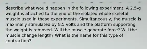 describe what would happen in the following experiment: A 2.5-g weight is attached to the end of the isolated whole skeletal muscle used in these experiments. Simultaneously, the muscle is maximally stimulated by 8.5 volts and the platform supporting the weight is removed. Will the muscle generate force? Will the muscle change length? What is the name for this type of contraction?