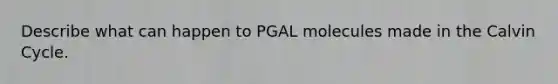 Describe what can happen to PGAL molecules made in the Calvin Cycle.