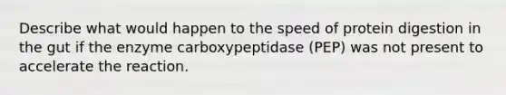 Describe what would happen to the speed of protein digestion in the gut if the enzyme carboxypeptidase (PEP) was not present to accelerate the reaction.