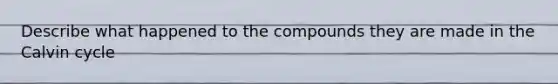 Describe what happened to the compounds they are made in the Calvin cycle