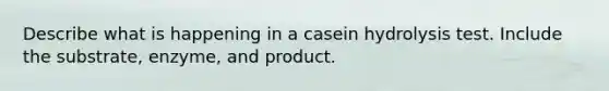 Describe what is happening in a casein hydrolysis test. Include the substrate, enzyme, and product.