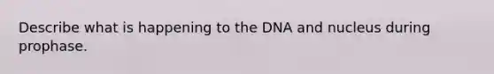 Describe what is happening to the DNA and nucleus during prophase.