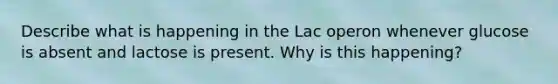 Describe what is happening in the Lac operon whenever glucose is absent and lactose is present. Why is this happening?