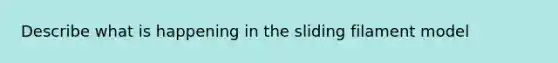 Describe what is happening in the sliding filament model