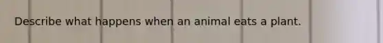 Describe what happens when an animal eats a plant.