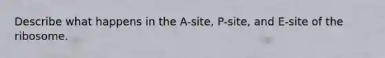 Describe what happens in the A-site, P-site, and E-site of the ribosome.