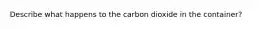 Describe what happens to the carbon dioxide in the container?