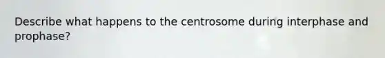 Describe what happens to the centrosome during interphase and prophase?