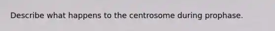 Describe what happens to the centrosome during prophase.