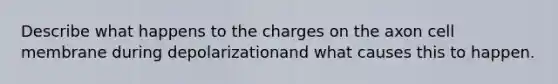 Describe what happens to the charges on the axon cell membrane during depolarizationand what causes this to happen.