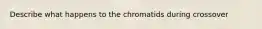 Describe what happens to the chromatids during crossover