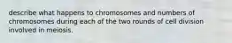 describe what happens to chromosomes and numbers of chromosomes during each of the two rounds of cell division involved in meiosis.