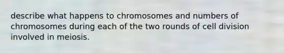 describe what happens to chromosomes and numbers of chromosomes during each of the two rounds of cell division involved in meiosis.