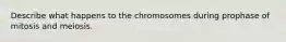 Describe what happens to the chromosomes during prophase of mitosis and meiosis.