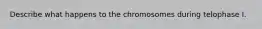 Describe what happens to the chromosomes during telophase I.