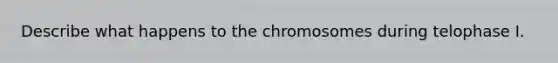 Describe what happens to the chromosomes during telophase I.