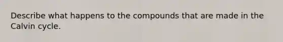 Describe what happens to the compounds that are made in the Calvin cycle.