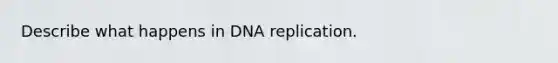 Describe what happens in DNA replication.