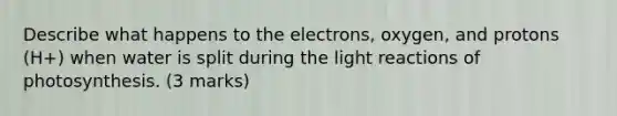 Describe what happens to the electrons, oxygen, and protons (H+) when water is split during the light reactions of photosynthesis. (3 marks)