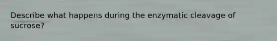 Describe what happens during the enzymatic cleavage of sucrose?