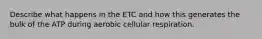 Describe what happens in the ETC and how this generates the bulk of the ATP during aerobic cellular respiration.