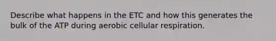 Describe what happens in the ETC and how this generates the bulk of the ATP during aerobic cellular respiration.