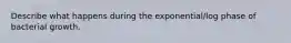 Describe what happens during the exponential/log phase of bacterial growth.