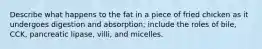 Describe what happens to the fat in a piece of fried chicken as it undergoes digestion and absorption; include the roles of bile, CCK, pancreatic lipase, villi, and micelles.