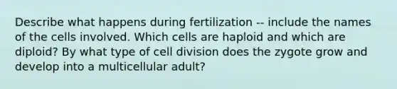 Describe what happens during fertilization -- include the names of the cells involved. Which cells are haploid and which are diploid? By what type of cell division does the zygote grow and develop into a multicellular adult?