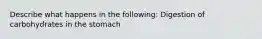 Describe what happens in the following: Digestion of carbohydrates in the stomach