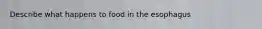 Describe what happens to food in the esophagus