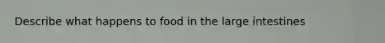 Describe what happens to food in the large intestines