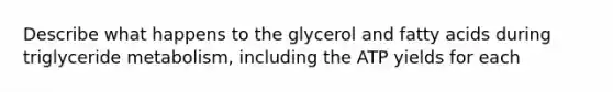 Describe what happens to the glycerol and fatty acids during triglyceride metabolism, including the ATP yields for each