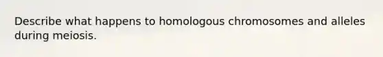 Describe what happens to homologous chromosomes and alleles during meiosis.