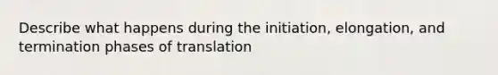 Describe what happens during the initiation, elongation, and termination phases of translation