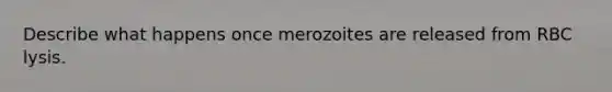 Describe what happens once merozoites are released from RBC lysis.