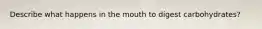 Describe what happens in the mouth to digest carbohydrates?