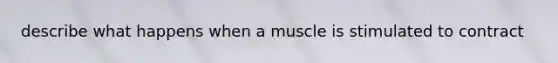 describe what happens when a muscle is stimulated to contract