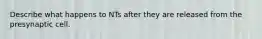 Describe what happens to NTs after they are released from the presynaptic cell.