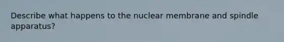 Describe what happens to the nuclear membrane and spindle apparatus?