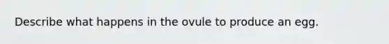 Describe what happens in the ovule to produce an egg.