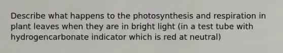 Describe what happens to the photosynthesis and respiration in plant leaves when they are in bright light (in a test tube with hydrogencarbonate indicator which is red at neutral)