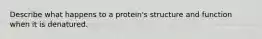 Describe what happens to a protein's structure and function when it is denatured.